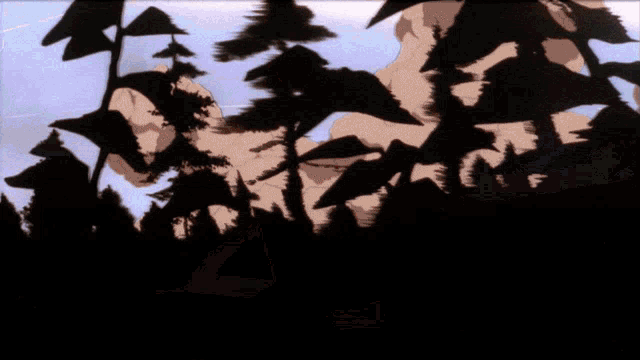 a silhouette of a person standing in the woods with trees in the background