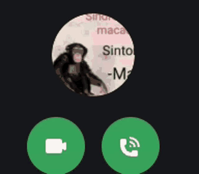 a picture of a chimpanzee in a circle with the words sinto -maca on it
