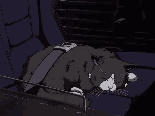 a cat is laying in a car seat with a seat belt around it