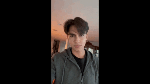 a young man in a hoodie is standing in a living room and looking at the camera .