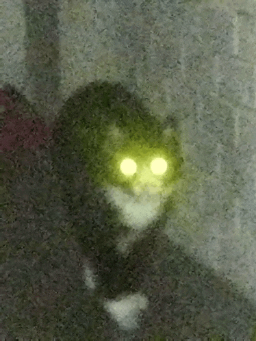 a close up of a person 's face with bright yellow eyes
