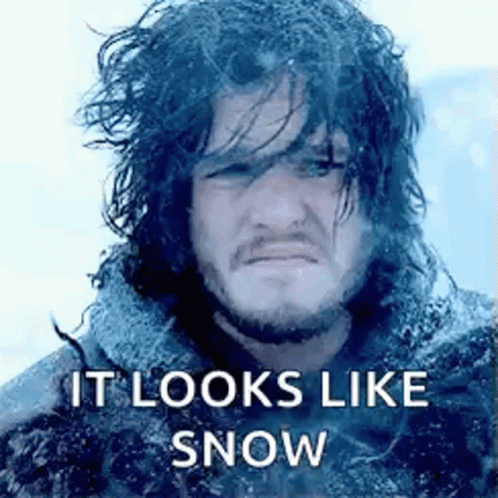 Snow Jon Snow GIF