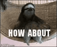 a sloth is sitting in a hammock with the words how about written above it .