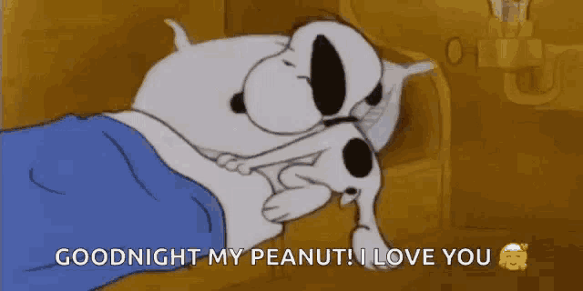 a cartoon of snoopy sleeping in a bed with the words `` goodnight my peanut , i love you '' .