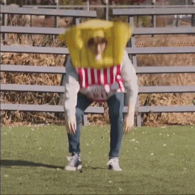 a person in a popcorn costume is squatting on the grass .