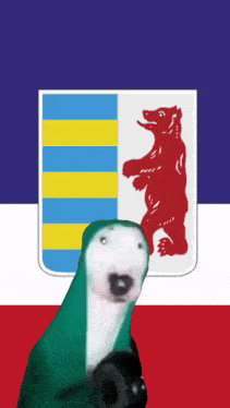 a parrot is standing in front of a coat of arms with a red bear on it