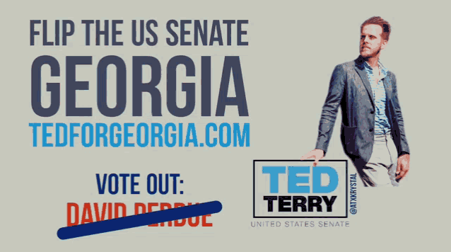 Ted Terry Ted For Ga GIF - Ted Terry Ted For Ga Ted For Georgia GIFs