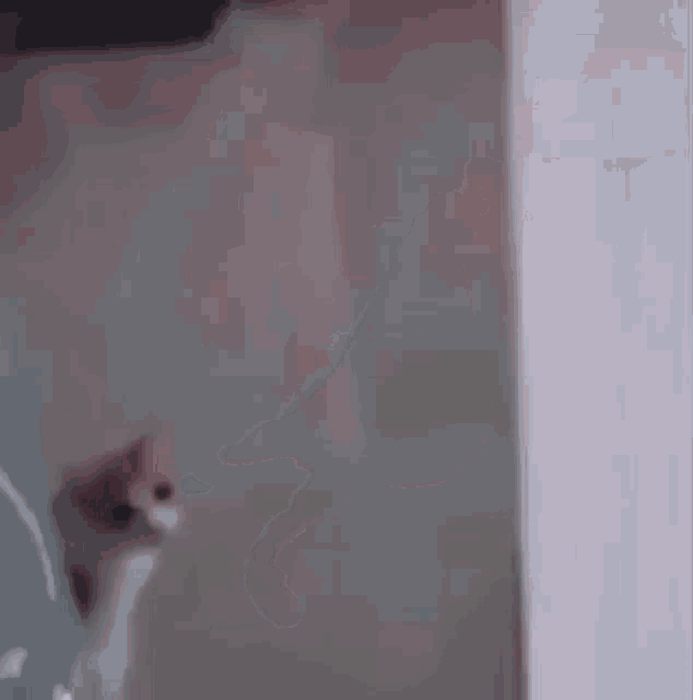 a dog is walking on a white floor in a room .