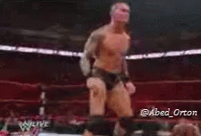 Randy Orton Wwe GIF - Randy Orton Wwe Rko GIFs
