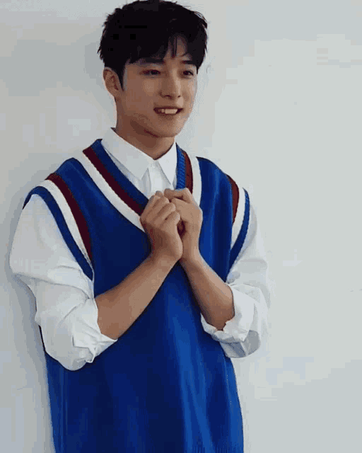 a young man wearing a blue vest and a white shirt is smiling
