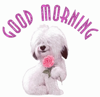 Dog Goodmorning GIF - Dog Goodmorning GIFs