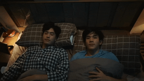 two young men are sleeping in a bed with plaid pillows