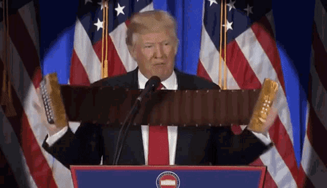 donald trump is giving a speech at a podium in front of an american flag .