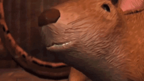 a close up of a rat 's face with its mouth open and teeth showing .