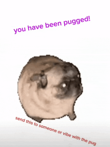 a picture of a pug with the words " you have been pugged " above it