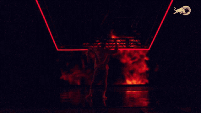 Dancing Dassy Lee GIF - Dancing Dassy Lee Red Bull GIFs