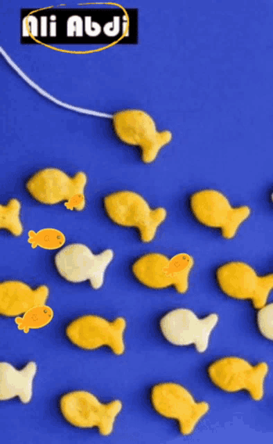 Fish Images GIF - Fish Images GIFs