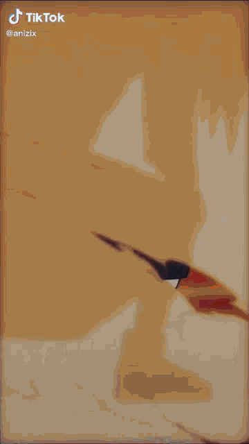 a cartoon of a person standing in the sand with a tik tok watermark