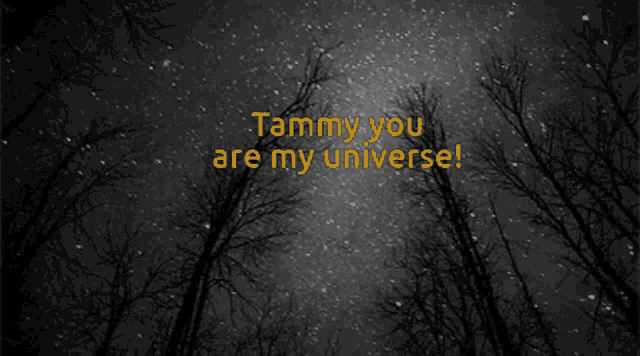 tammy you are my universe is written in yellow on a black background