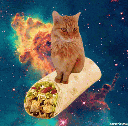 Space Burrito GIF - Mexican Food Burrito Cat GIFs
