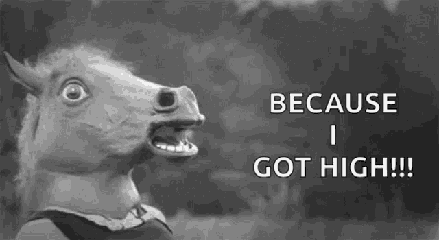 a black and white photo of a horse mask with the words `` because i got high '' .
