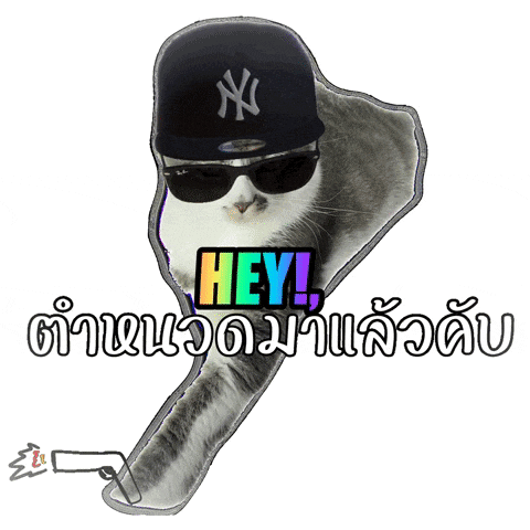 a cat wearing sunglasses and a new york hat says hey
