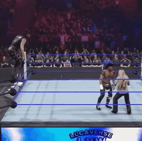 a wrestling match is being played in a lucaverse video game