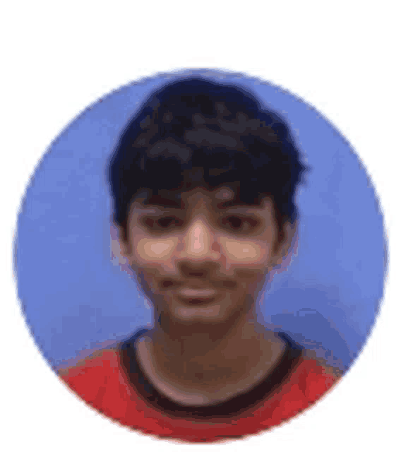 a young boy wearing a red shirt is standing in a circle .