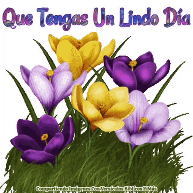 purple and yellow flowers with the words que tengas un lindo dia written above them