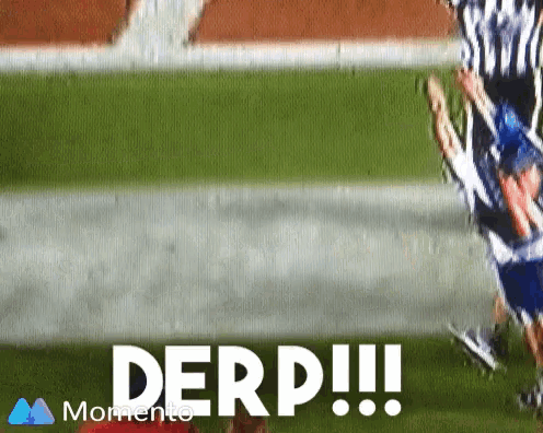 the word derp that is on a green field