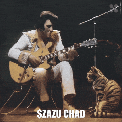 a man playing a guitar next to a cat that says " szau chad "