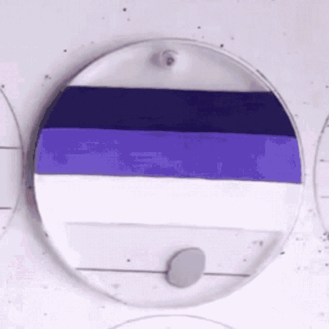 a purple and white striped circle with a gray circle in the middle