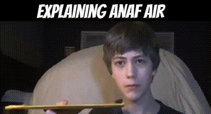a young boy holding a stick with the words explaining anaf air on the bottom
