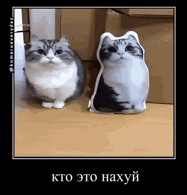 two cats sitting next to each other with a caption in russian that says " kto to haxyui "
