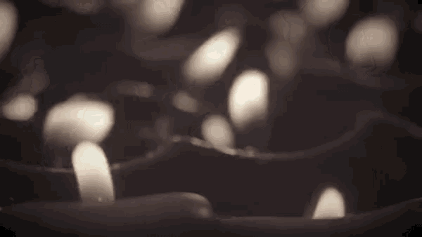 a bunch of candles are lit up in the dark .