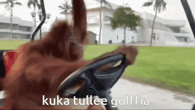 Golf Golf With Your Friends GIF - Golf Golf With Your Friends Kuka Tulee Golf GIFs