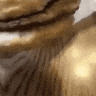 a close up of a cat 's fur shows the texture of the fur