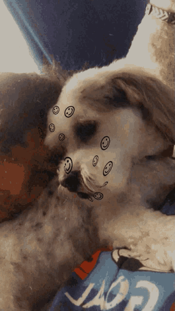 a dog with smiley faces drawn on it 's face