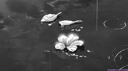 Flowers Rain GIF - Flowers Rain Anime GIFs