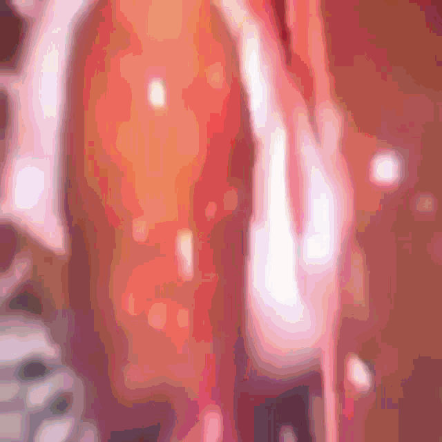 a blurred image of a person 's torso with a red background