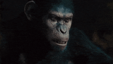 Planet Of The Apes Caesar GIF - Planet Of The Apes Caesar No GIFs