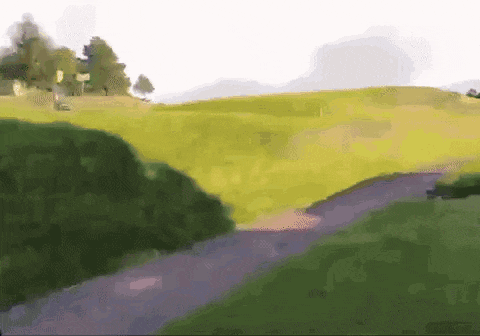 a road going through a grassy field with trees in the background