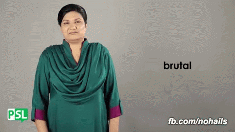 Brutal Pakistan Sign Language GIF - Brutal Pakistan Sign Language Nsb GIFs
