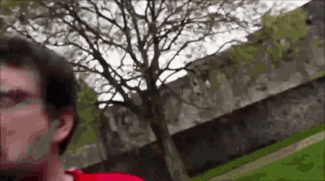 a man in a red shirt stands in front of a tree in a park