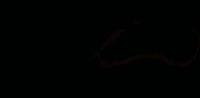 the word ercoteam is displayed in red and green on a black background