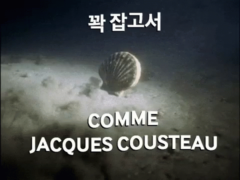 Parpflix Cousteau GIF - Parpflix Cousteau GIFs