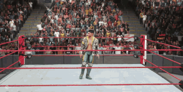 a wrestler stands in the middle of a wrestling ring with a crowd watching
