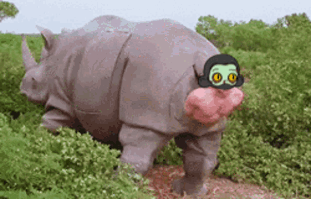 a rhino wearing a mask and sunglasses standing in a field