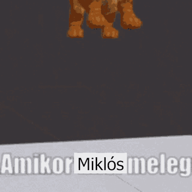 a cartoon cat is jumping in the air with the words " amikor miklos meleg " behind it