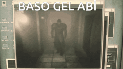 a computer screen shows a silhouette of a person and the words baso gel abi
